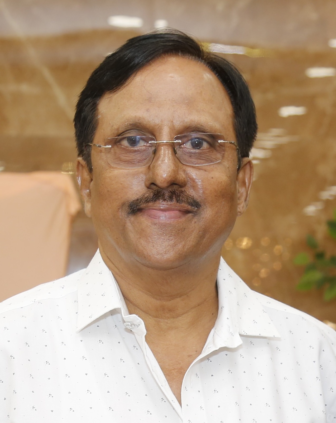 Mr. Dilip Chavan